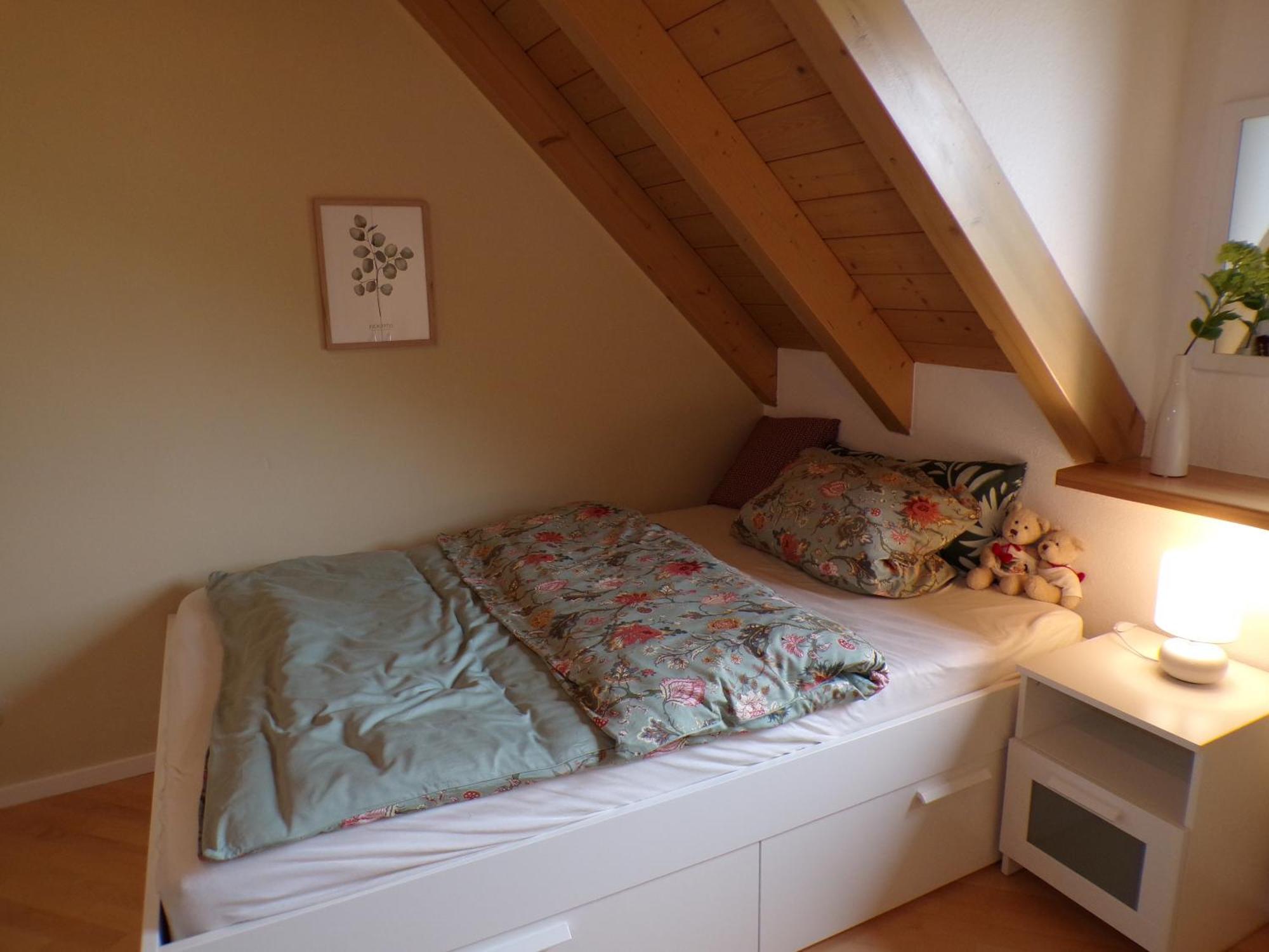 Mondfaenger Ferienwohnung , Naehe Playmobil Funpark Und Messezentrum Wilhermsdorf  エクステリア 写真